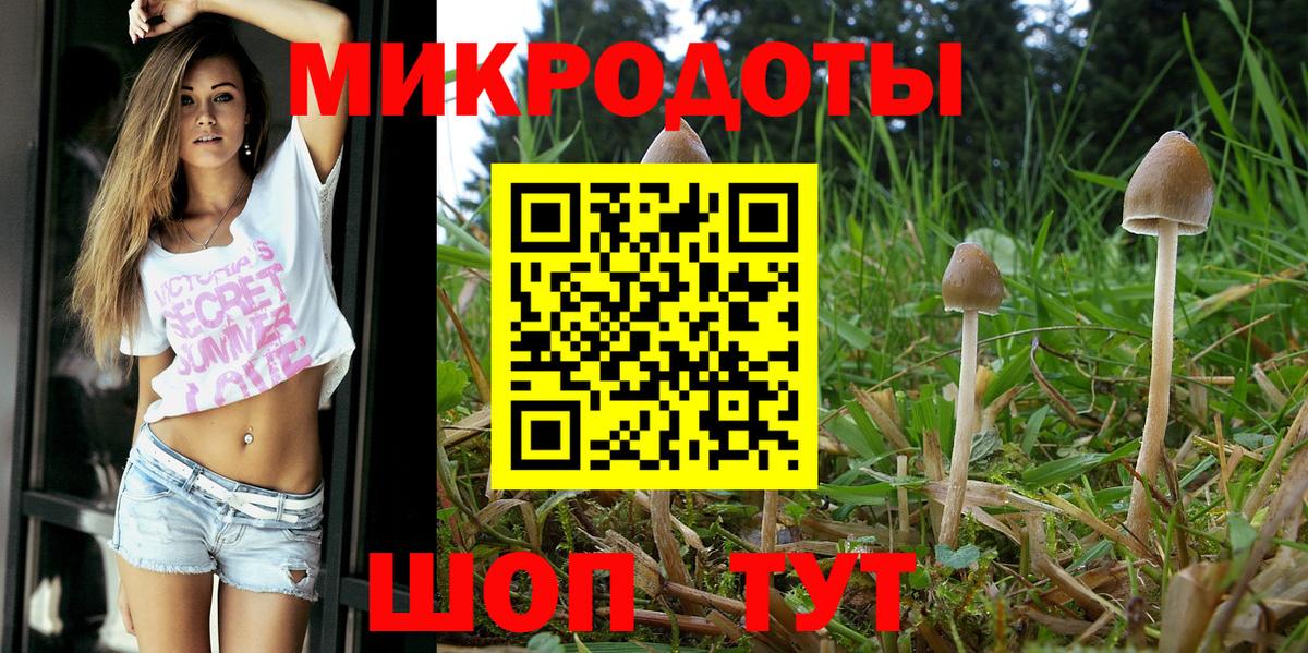Северодвинск  Галлюциногенные грибы Psilocybine cubensis  купить наркоту  Вход с VPN 