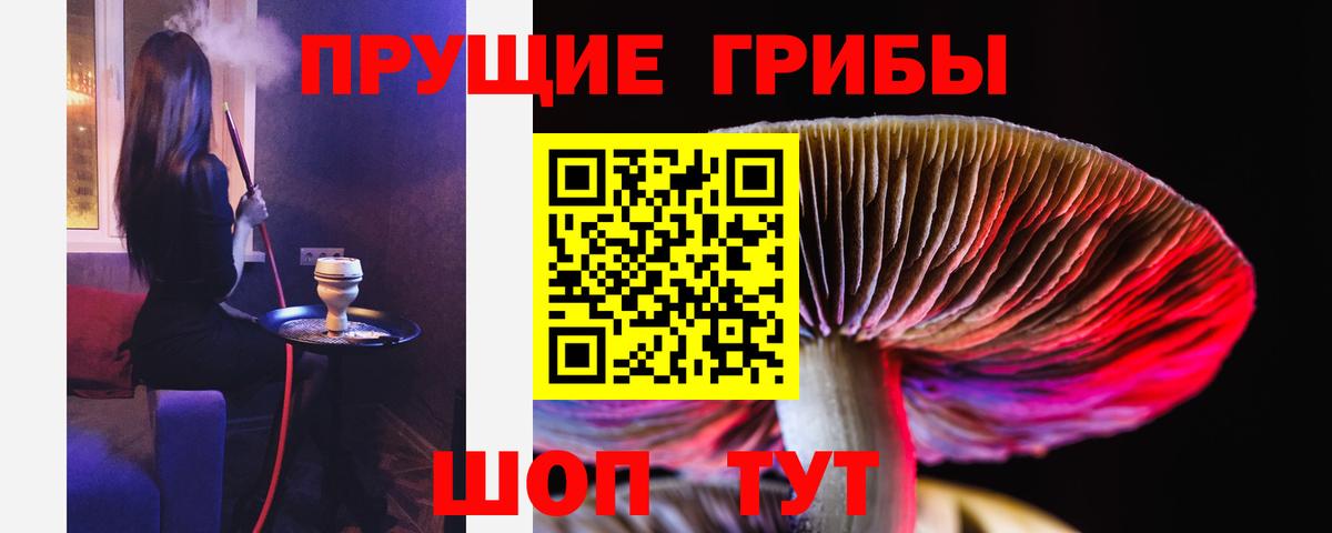 Галлюциногенные грибы прущие грибы Северодвинск